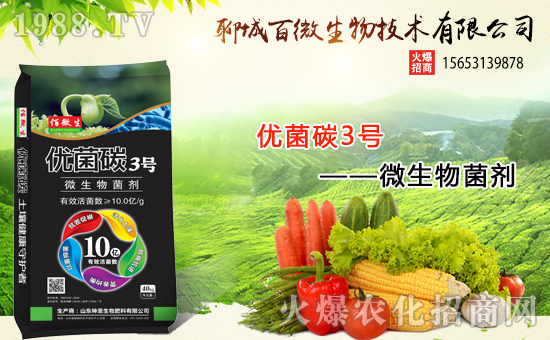 �������x������(j��)���ĳǰ�΢���m(x��)ǰ�����y���r(n��ng)���W(w��ng)����(chu��ng)���x����