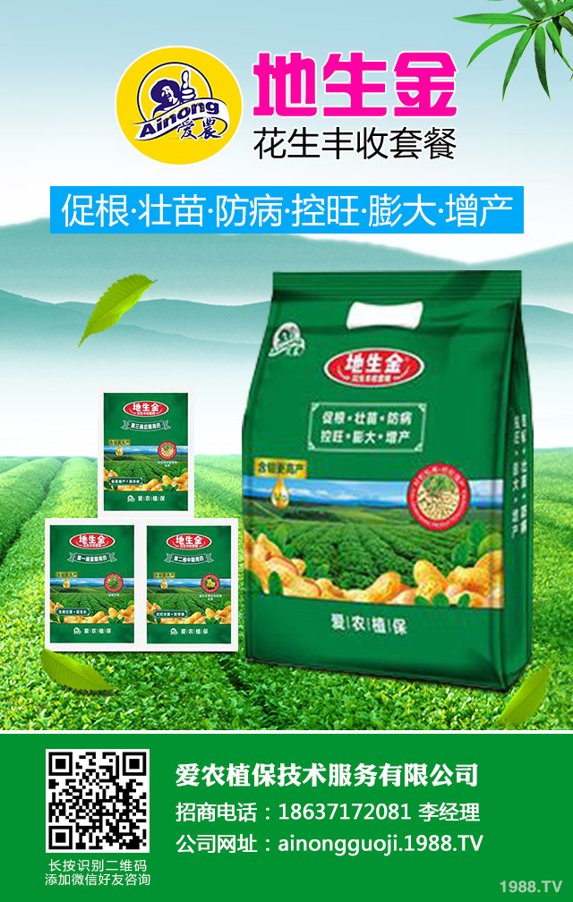 地膜棉花倒伏如何防治？地膜棉花倒伏應(yīng)對措施