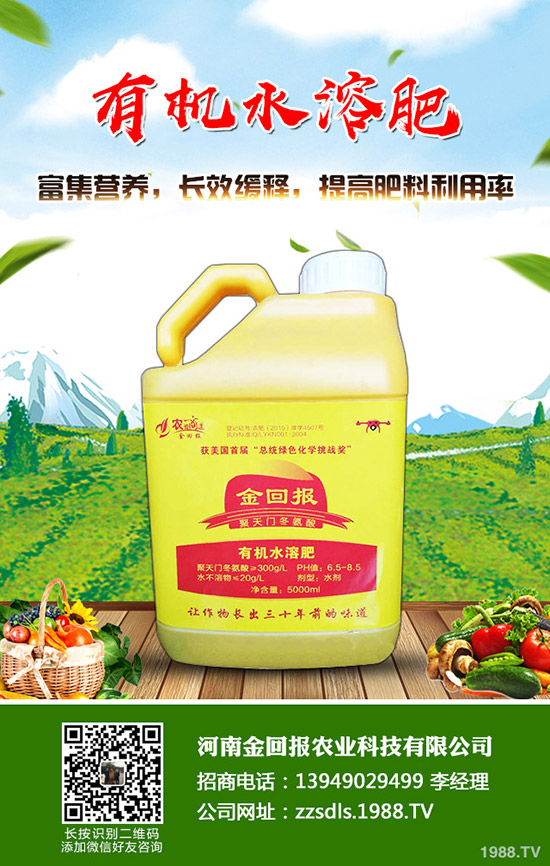 苦蕎麥?zhǔn)裁磿r候種植？苦蕎麥高產(chǎn)種植技術(shù)！