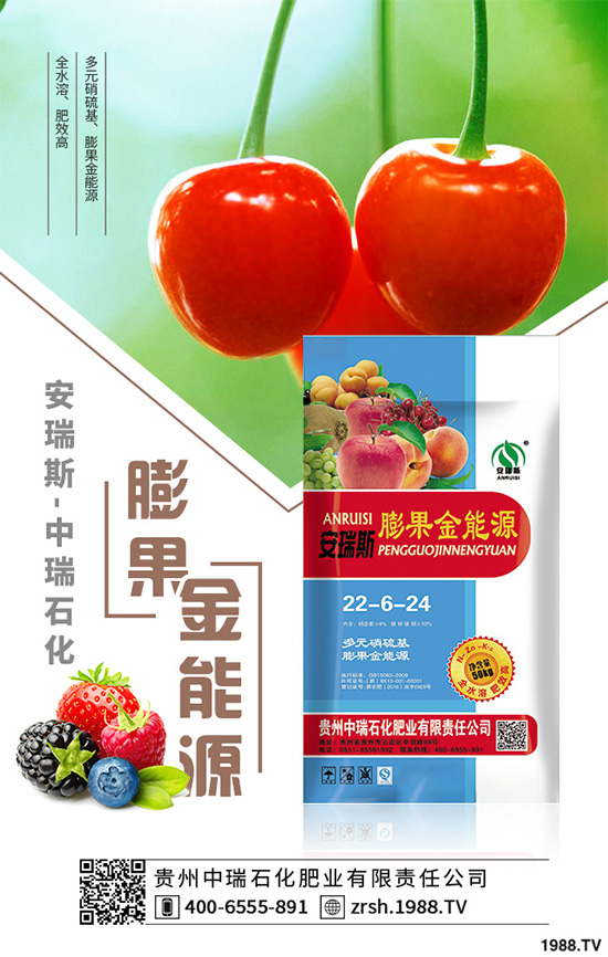 萵苣該如何育苗？萵苣苗期管理技術(shù)要點