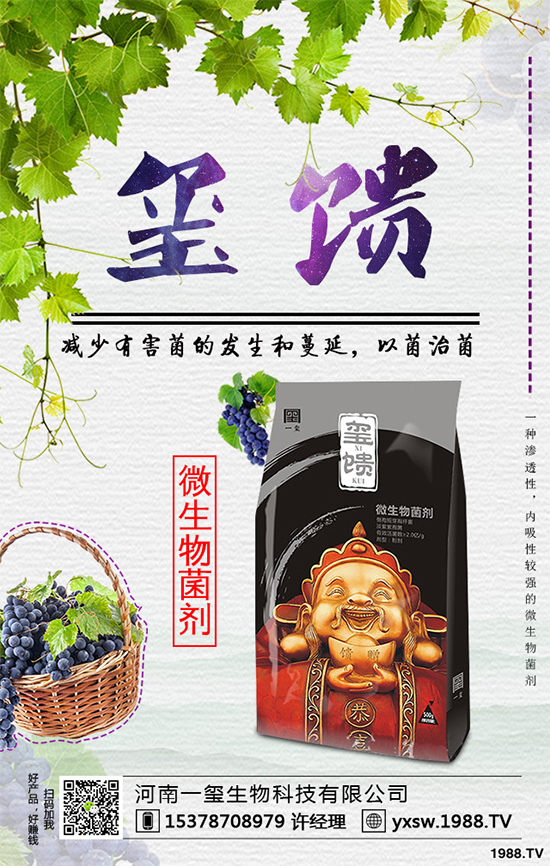     北方怎樣種植藍(lán)莓？種植藍(lán)莓應(yīng)該注意什么？