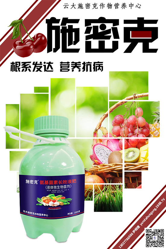 大蔥霜霉病危害巨大，到底是如何引起的？大蔥霜霉病防治措施