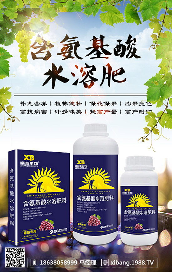 櫻桃蘿卜什么時候種植？櫻桃蘿卜是否需要澆水