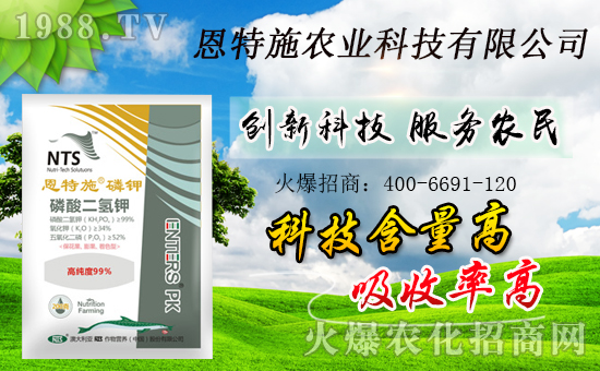 ���r(n��ng)���W(w��ng)ϲӭ�����ѣ��y�ֶ���ʩ����ؔ(c��i)��֮·