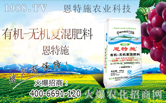 ���r(n��ng)���W(w��ng)ϲӭ���������y�ֶ���ʩ����ؔ(c��i)��֮·