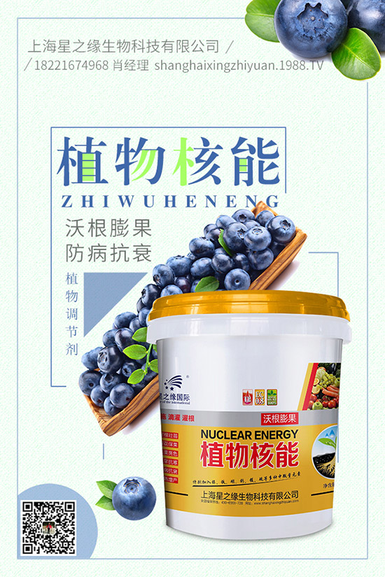 番茄菌核病有哪些癥狀，番茄菌核病危害及防治！