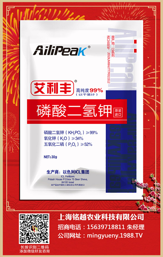 紫薯如何種植，紫薯種植方法和注意事項(xiàng)！