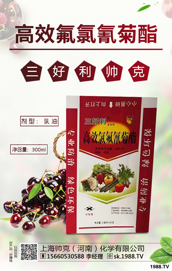 辣木樹(shù)的種植前景如何，如何種植辣木樹(shù)？