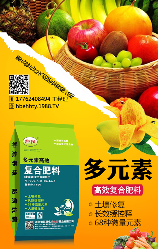 黃皮火龍果怎么種植？黃皮火龍果的種植技術(shù)！