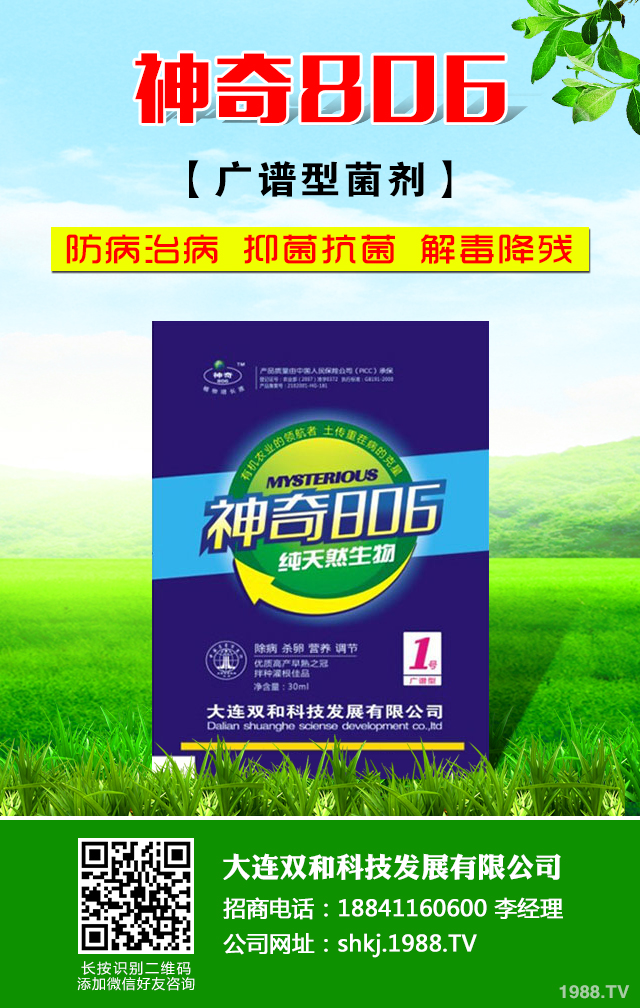 大蔥軟腐病怎么防治效果好？大蔥軟腐病防治技巧