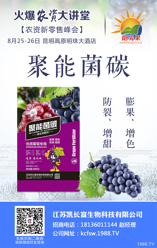 盆栽豌豆該怎么種？盆栽豌豆種植方法及注意事項