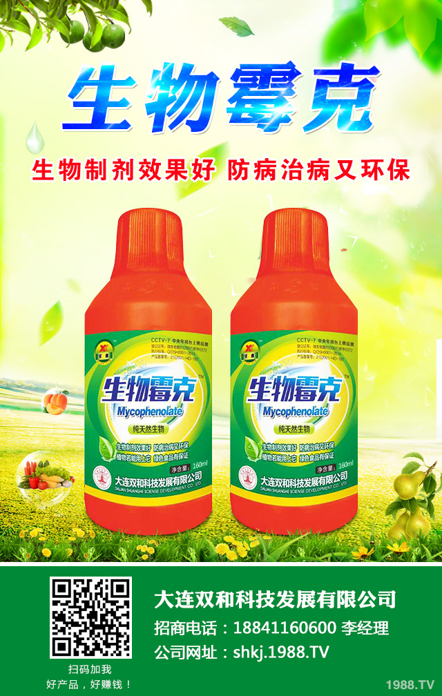 西瓜霜霉病怎么辦？西瓜霜霉病的防治很關(guān)鍵