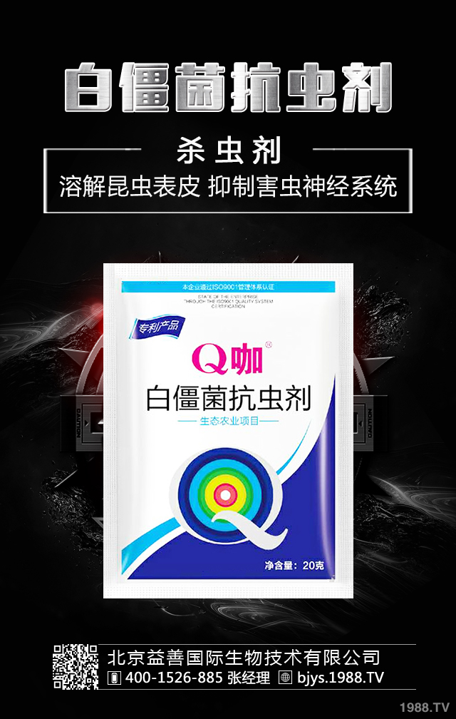 月季病蟲害怎么防治？月季病蟲害防治集錦