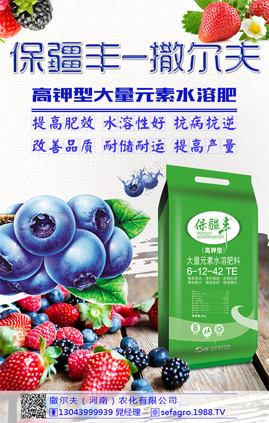 豌豆該怎么施肥？豌豆高產(chǎn)施肥技術