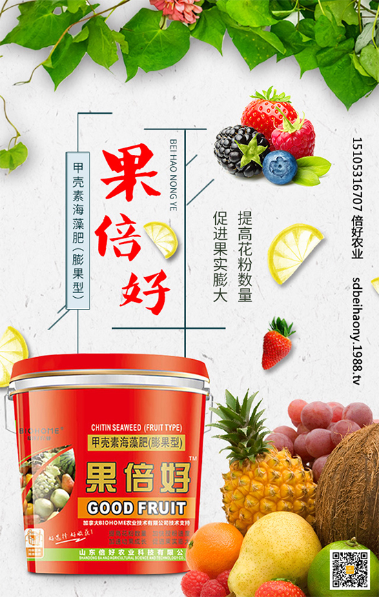 圣女果什么時間種植?圣女果種植技術(shù)要點(diǎn)有哪些?