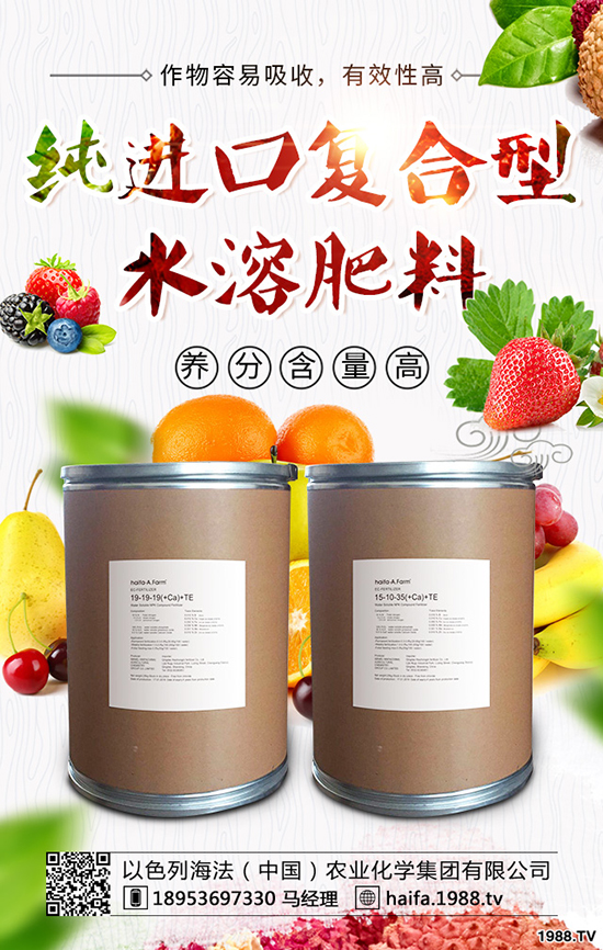 甘藍(lán)菜怎么種植，教你正確種植甘藍(lán)的辦法！