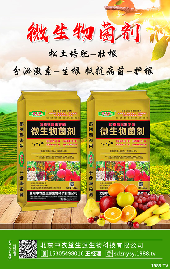     大棚芹菜常見病害及蟲害有哪些？防治措施及藥劑使用推薦！