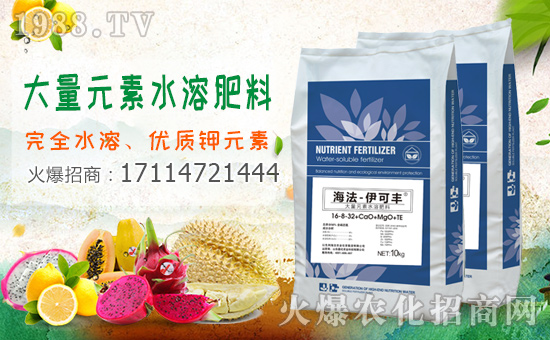 1988.TVϲӭ����������ɫ�к����r(n��ng)�I(y��)���݁��u�����F(xi��n)��I(y��)�°l(f��)չ��