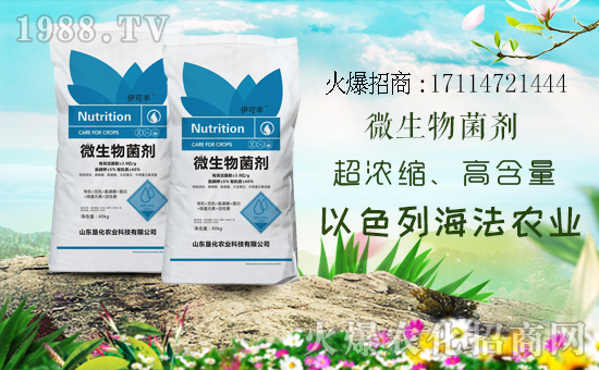 1988.TVϲӭ�����ѣ���ɫ�к����r(n��ng)�I(y��)���݁��u�����F(xi��n)��I(y��)�°l(f��)չ��