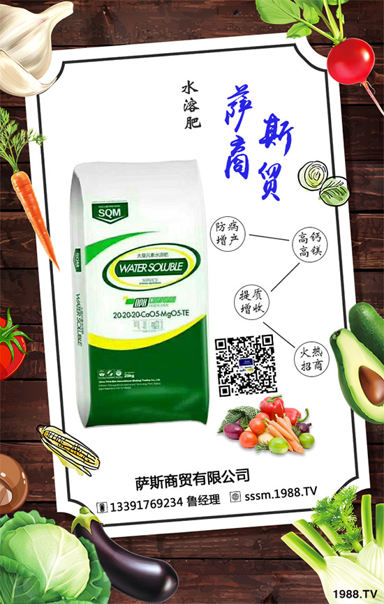 �_˹���Q(m��o)�ٶȔy��1988.TV�������W(w��ng)�j(lu��)�������x�ͣ�