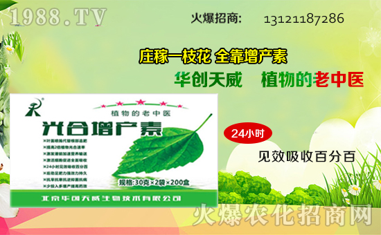 ��(zh��n)�Ժ������������A��(chu��ng)��������y��1988.TV�ل�(chu��ng)�x�ͣ�