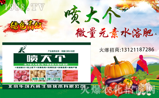 ��(zh��n)�Ժ������������A��(chu��ng)��������y��1988.TV�ل�(chu��ng)�x����