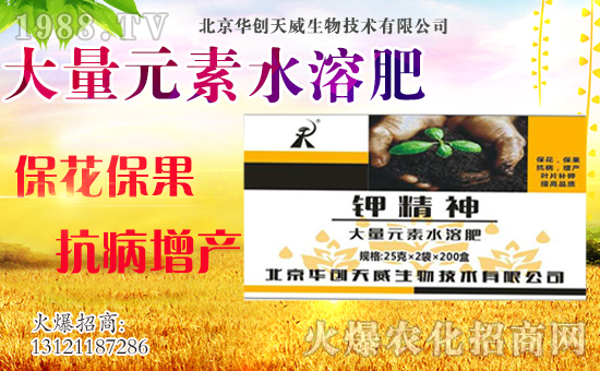 ��(zh��n)�Ժ������������A��(chu��ng)��������y��1988.TV�ل�(chu��ng)�x����