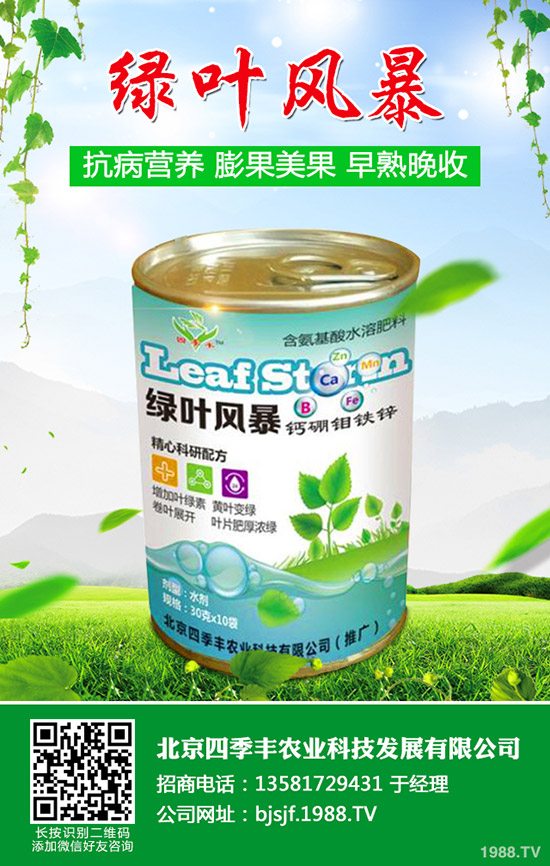 西瓜什么時(shí)候種植好？西瓜的種植時(shí)間和方法！