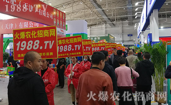 ���r(n��ng)���W(w��ng)2019�L��ֲ����(hu��)�r(n��ng)�Y���[��(hu��)��(zh��n)���x��