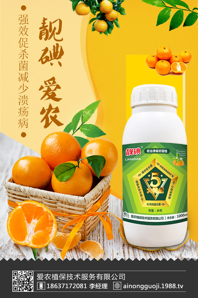 柑橘潰瘍病怎么防治?柑橘潰瘍病防治技巧