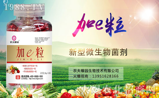 �����������������A���r(n��ng)��ڈ@�ٺ�1988.TV��(chu��ng)���x�ͣ�