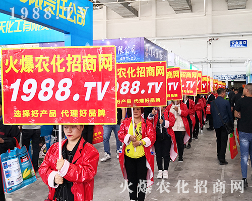 2019�L��ֲ���������r(n��ng)���W(w��ng)�����ƏV�ݲ��ɓ���