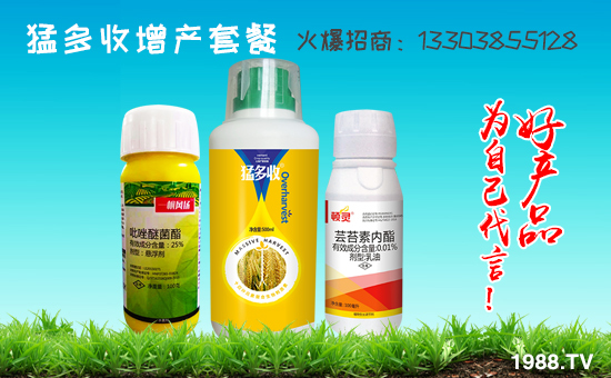     ���r���Wϲӭ�����������τ٠��𱬁��u�����v�ɹ���