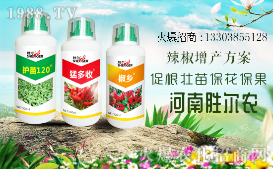     ���r���Wϲӭ�����������τ٠��𱬁��u�����v�ɹ���