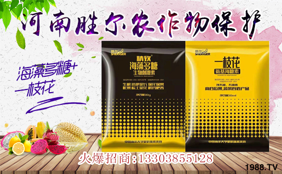     ���r���Wϲӭ�����������τ٠��𱬁��u�����v�ɹ���