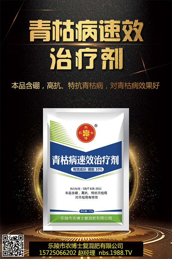 �������r(n��ng)��ʿ�ٶȔy��1988.TV���y�ֹ���(chu��ng)��(zh��n)��(j��)���ل�(chu��ng)�x����