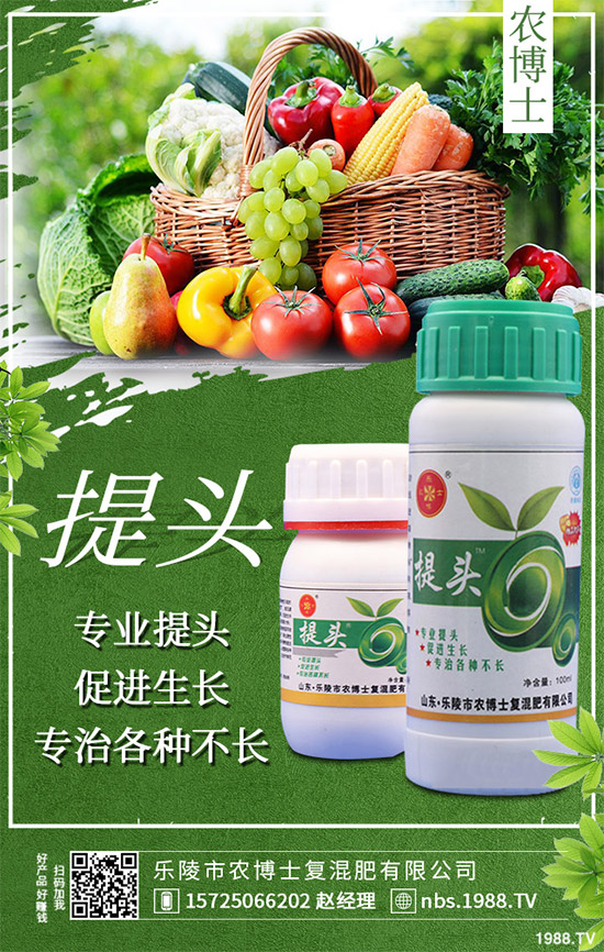 �������r(n��ng)��ʿ�ٶȔy��1988.TV���y�ֹ���(chu��ng)��(zh��n)��(j��)���ل�(chu��ng)�x����2