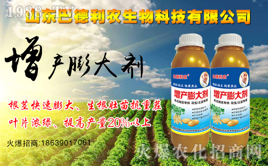 ����ף�Rɽ�|�͵����r(n��ng)����1988.TV���_���W(w��ng)�j(lu��)������ģʽ��