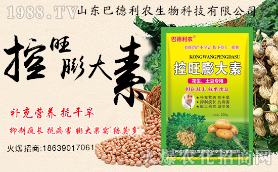 ����ף�Rɽ�|�͵����r(n��ng)����1988.TV���_���W(w��ng)�j(lu��)������ģʽ��