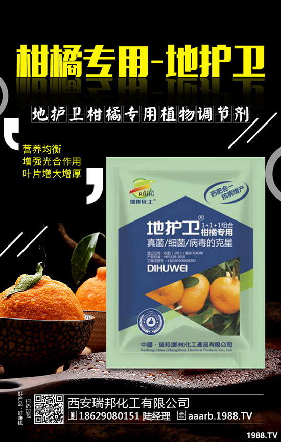 香菜種子如何催芽，香菜提高出苗率的好方法！