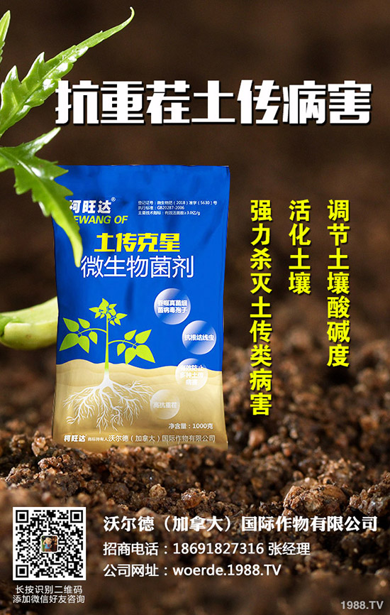 茄子什么時候育苗，茄子育苗的方法有哪些？