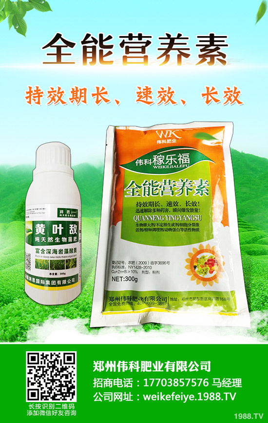 柿子樹怎么嫁接，柿子樹嫁接時間和方法！