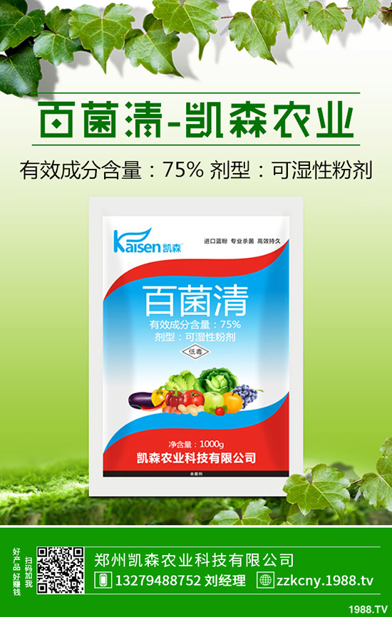 板栗樹種植后怎么管理？板栗種植的管理技術(shù)！