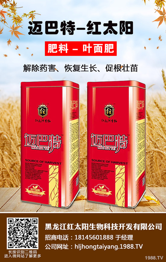 常吃紫蘇有什么好處，紫蘇的作用與功效！