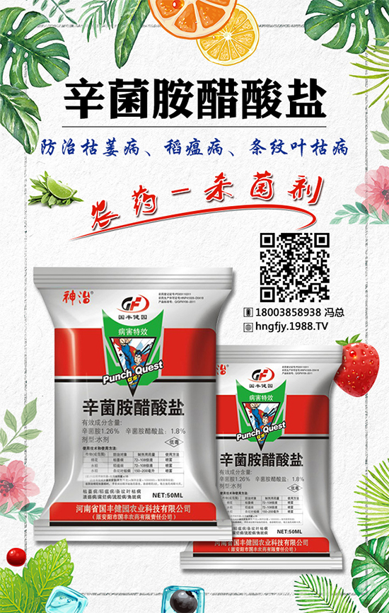 ��䚢�����r��