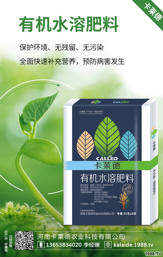 綠蘿長得太長怎么辦，綠蘿的修剪方法有哪些？