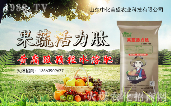 �л���ʢ���v���r(n��ng)���W(w��ng)���_���W(w��ng)�j(lu��)������������