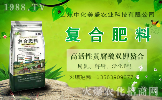 �л���ʢ���v���r(n��ng)���W(w��ng)���_���W(w��ng)�j(lu��)������������