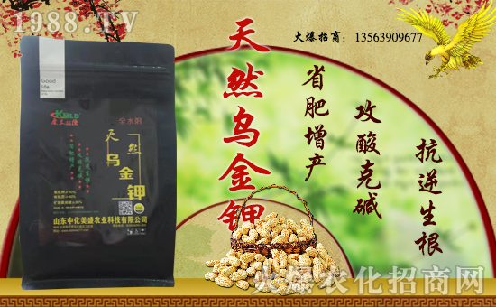 �л���ʢ���v���r(n��ng)���W(w��ng)���_���W(w��ng)�j(lu��)������������