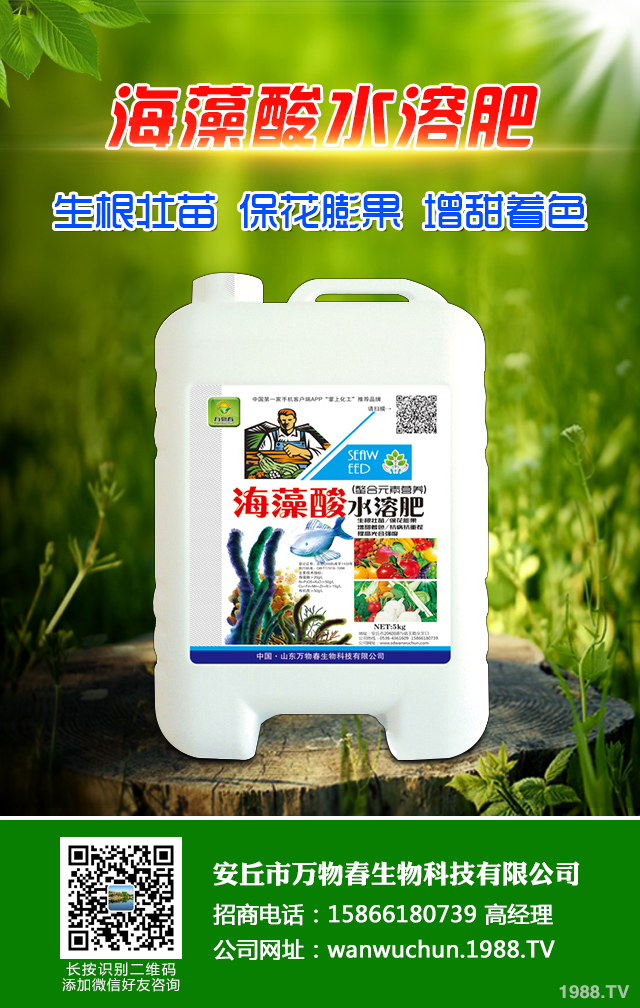 秋播小麥怎么提高質(zhì)量？秋播小麥提高質(zhì)量六要點(diǎn)